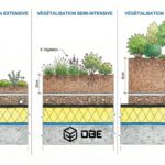 Coupe technique comparatif végétalisation extensive intensive